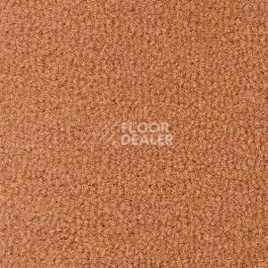 Ковролин Radici Forum Ambra 2102 фото 1 | FLOORDEALER